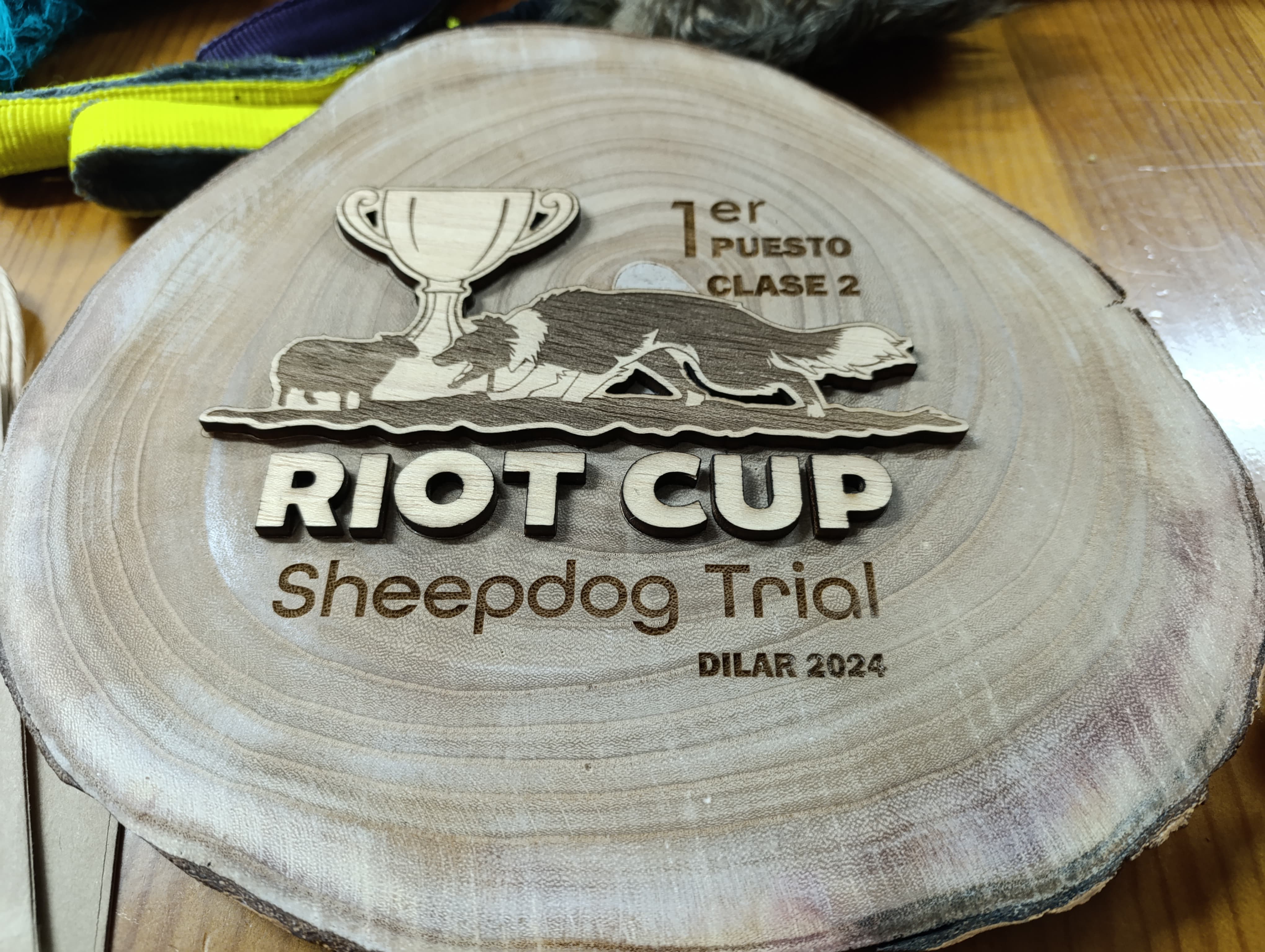 Trofeos del RiotCup Sheepdog Trial